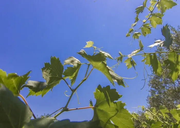 Kursar Casa vacanze *