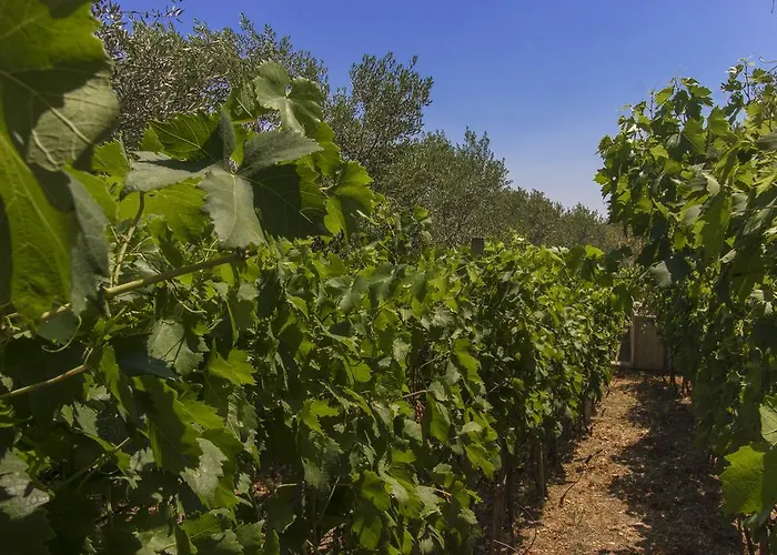 Casa vacanze Kursar *